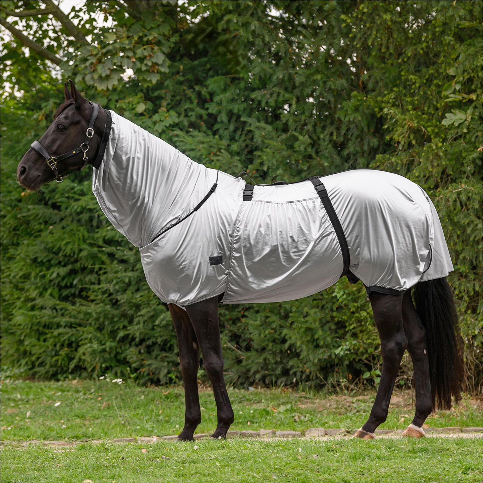 2026 Waldhausen Ekzem Teppich 8057711 - Silver Grey